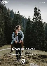 Постер к фильму "Сейчас или никогда"