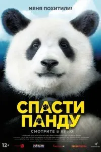 Постер к фильму "Спасти панду"
