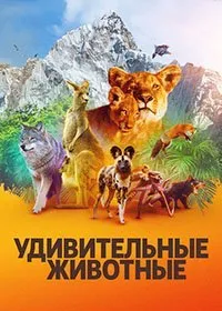Постер к Удивительные животные (1 сезон)