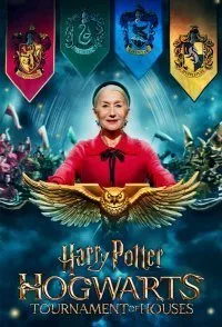 Постер к Гарри Поттер: Турнир факультетов Хогвартса (1 сезон)