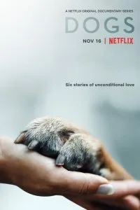 Постер к сериалу "Собаки"