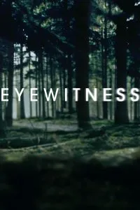 Постер к сериалу "Свидетели"