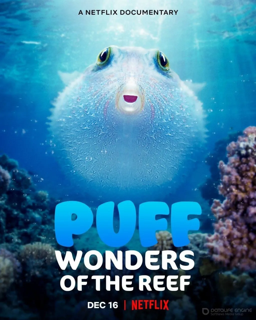 Постер к Чудеса кораллового рифа (2021)
