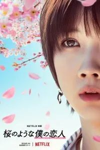 Постер к фильму "Моя любимая словно цветок сакуры"