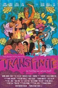 Постер к фильму "Трансфинитность"