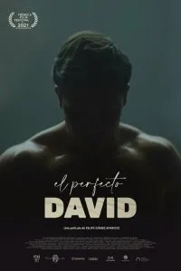 Постер к фильму "Идеальный Давид"