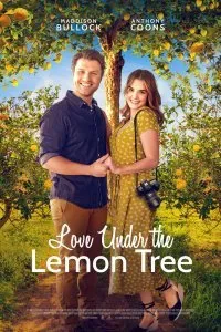 Постер к фильму "Любовь под лимонным деревом"