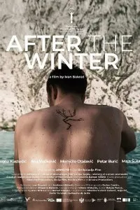 Постер к фильму "После зимы"