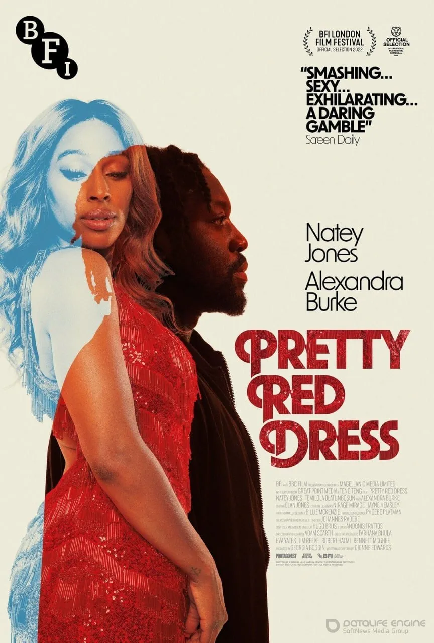 Постер к фильму "Красивое красное платье"